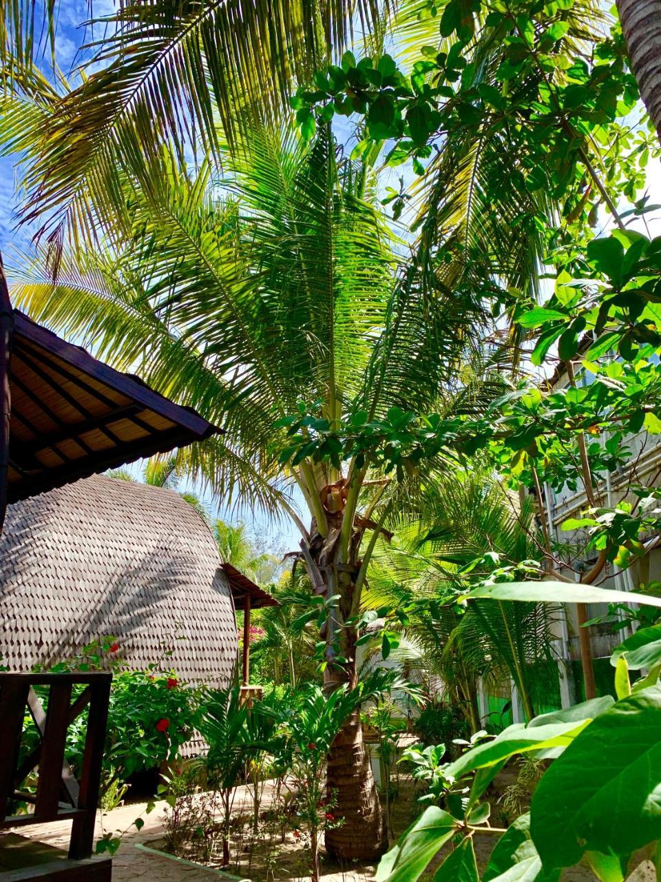 Damai Village Gili Trawangan Eksteriør bilde